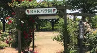 RSKバラ園の写真・動画_image_528128