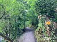 ウーファーヴェーク・イゼルトヴァルトの写真・動画_image_528183