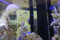 新石垣空港（南ぬ島石垣空港）の写真・動画_image_528262