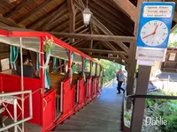 グランドホテル ギースバッハの写真・動画_image_528293