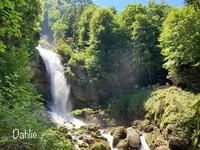 ギーススバッハフェレの写真・動画_image_528302