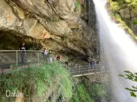 ギーススバッハフェレの写真・動画_image_528304