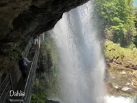 ギーススバッハフェレの写真・動画_image_528305