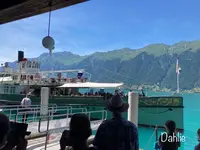 Giessbach Seeの写真・動画_image_528311