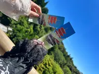 清水寺の写真・動画_image_528482