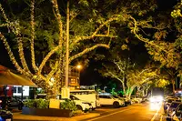 Macrossan Stの写真・動画_image_528984