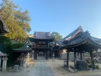 圓明寺の写真・動画_image_529261