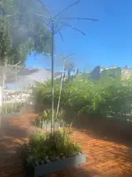 Paris Plagesの写真・動画_image_529703