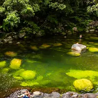 モスマン・ゴージの写真・動画_image_530994
