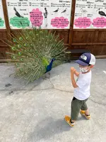 掛川花鳥園の写真・動画_image_531103