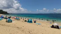 大泊ビーチの写真・動画_image_531281