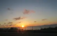 海の駅 あやはし館の写真・動画_image_531300