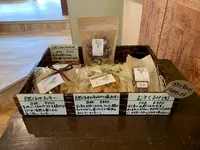 カフェ杉と胡桃の写真・動画_image_531366