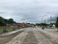 ひたち海浜公園の写真・動画_image_532077