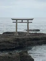 大洗磯前神社 神磯の鳥居の写真・動画_image_532276