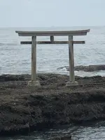 大洗磯前神社 神磯の鳥居の写真・動画_image_532277