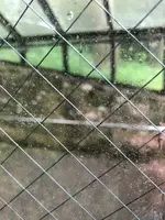 水戸市大串貝塚ふれあい公園の写真・動画_image_532427