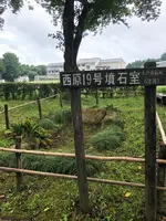 水戸市大串貝塚ふれあい公園の写真・動画_image_532429