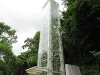 大渓橋の写真・動画_image_532557