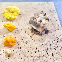 余白の写真・動画_image_532653