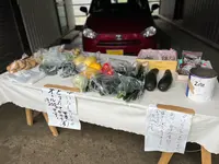 余白の写真・動画_image_532656