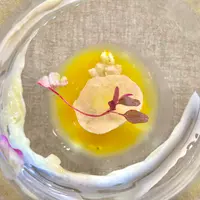 余白の写真・動画_image_532660