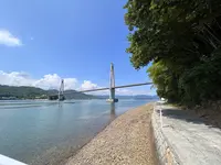 余白の写真・動画_image_532662