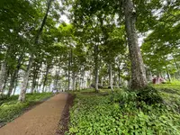 city bakeryの写真・動画_image_532695