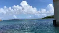 サザンゲートブリッジの写真・動画_image_532829