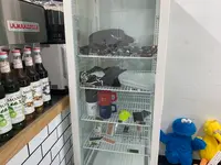 ウイズアウトスタンド 下北沢 （W/O STAND） の写真・動画_image_532955