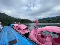 県立相模湖公園の写真・動画_image_533811