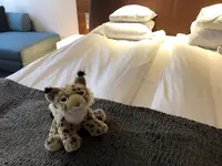 グロ ホテル クルービの写真・動画_image_533955