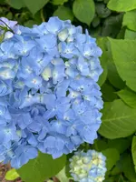 小樽 天満宮の写真・動画_image_533991