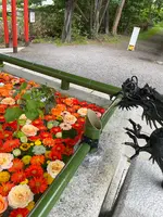 住吉神社の写真・動画_image_534001