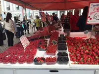 Market Squareの写真・動画_image_534067