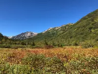 栂池自然園の写真・動画_image_534115