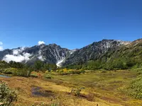栂池自然園の写真・動画_image_534116