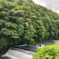 直吉の写真・動画_image_534152