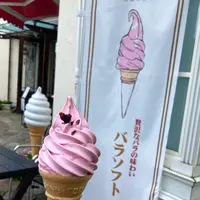 箱根強羅公園の写真・動画_image_534154