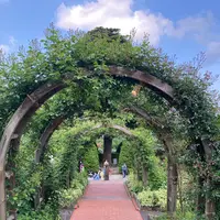 箱根強羅公園の写真・動画_image_534160