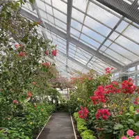 箱根強羅公園の写真・動画_image_534161