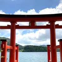 箱根神社 平和の鳥居の写真・動画_image_534171