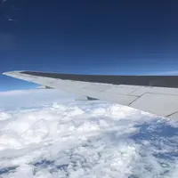 函館空港の写真・動画_image_534179