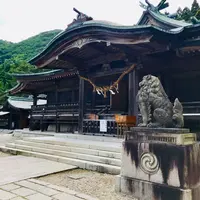 函館八幡宮の写真・動画_image_534199