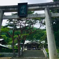 函館八幡宮の写真・動画_image_534200
