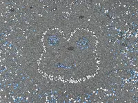 かえる神社の写真・動画_image_534312