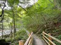 がんだて公園の写真・動画_image_534364