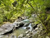 がんだて公園の写真・動画_image_534366