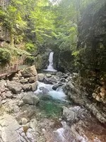 小坂の滝めぐりの写真・動画_image_534382