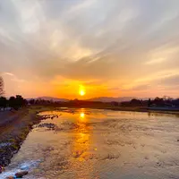 渡月橋の写真・動画_image_534653